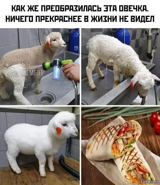 Солянка
