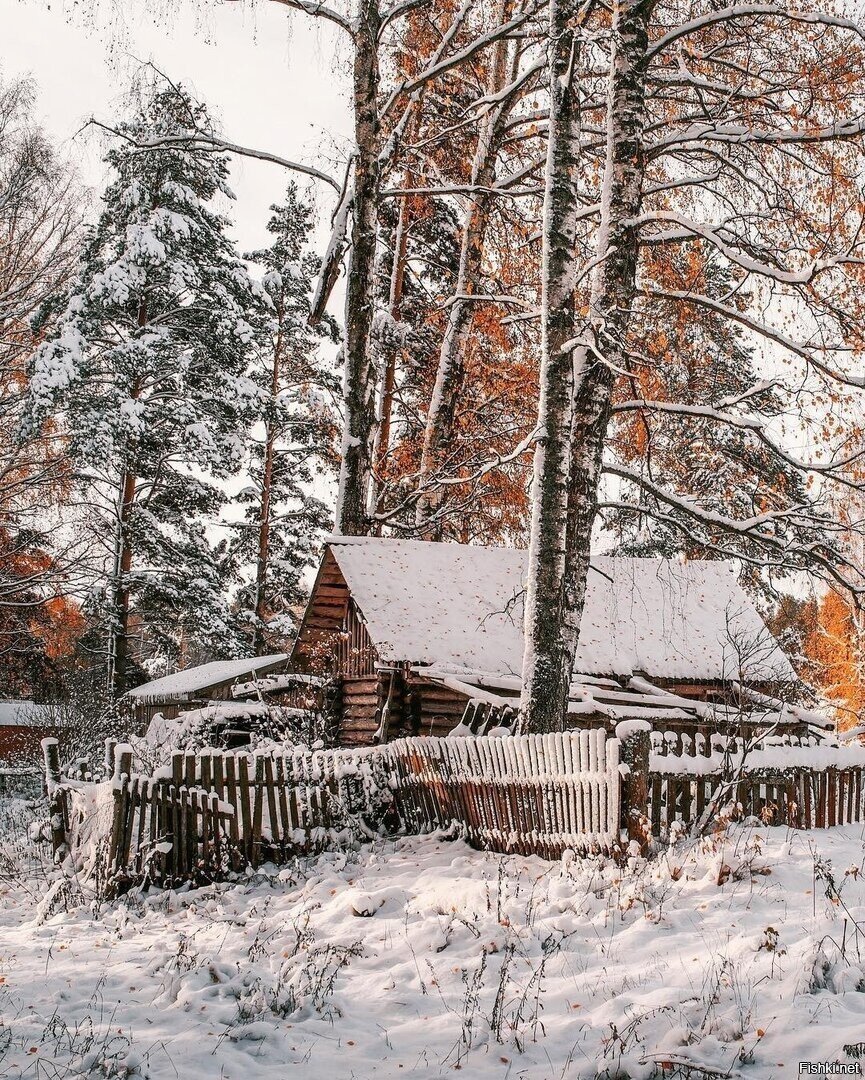 Солянка