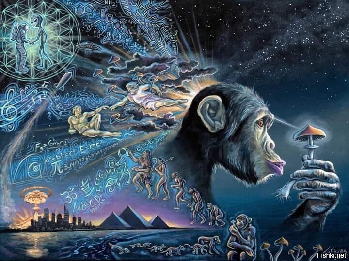 Солянка
