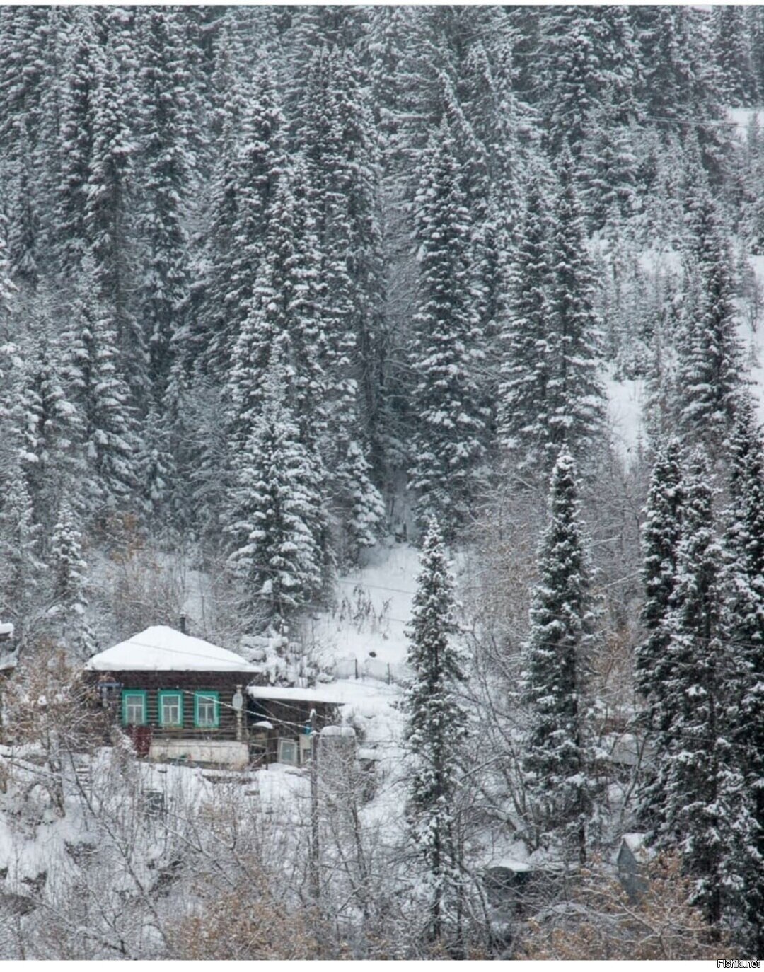 Солянка