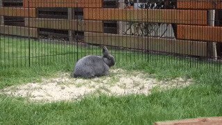 Энерджайзер