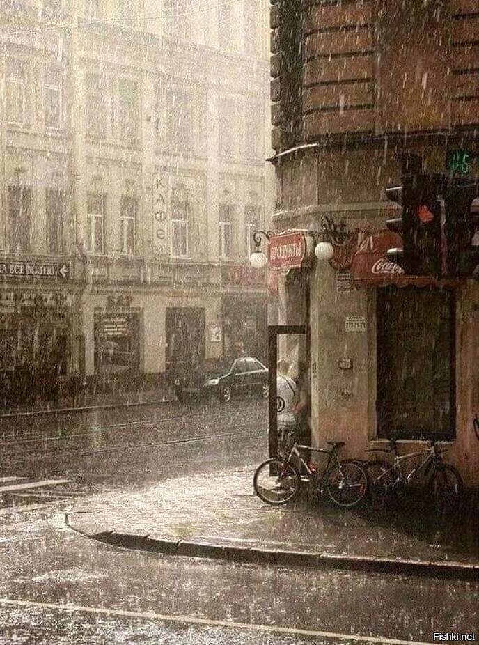 Солянка