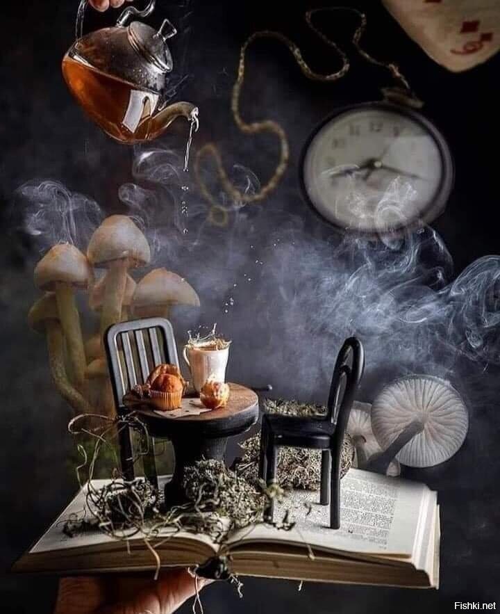 Солянка