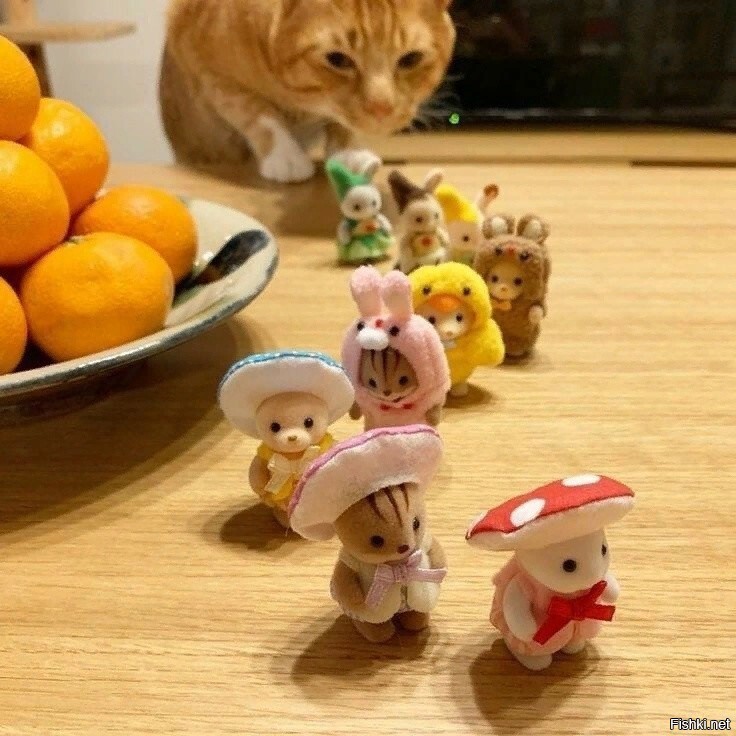 Солянка