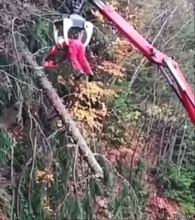 Вжух