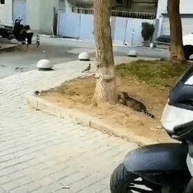Охотнички, блин