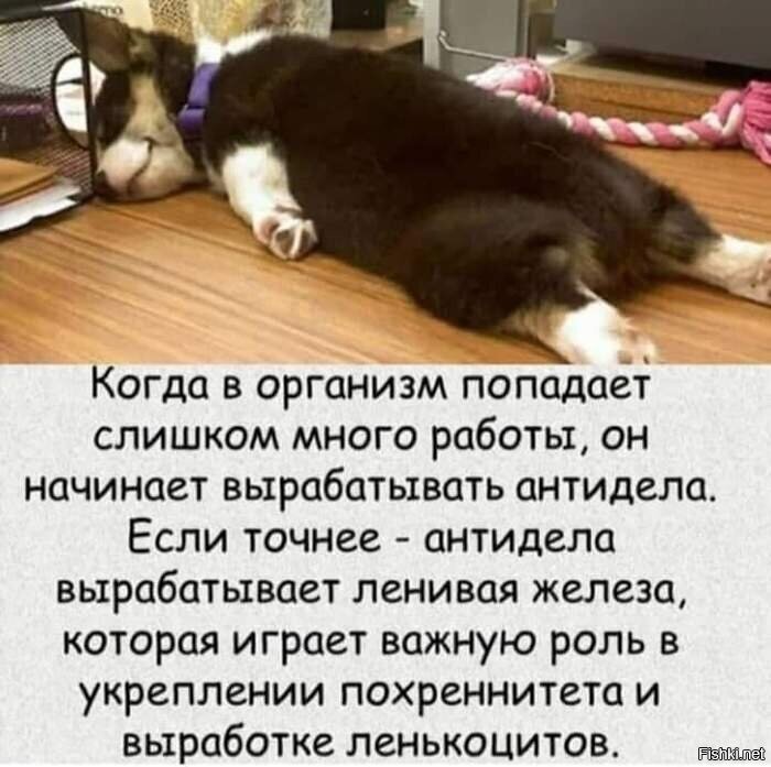 Суббота, она такая