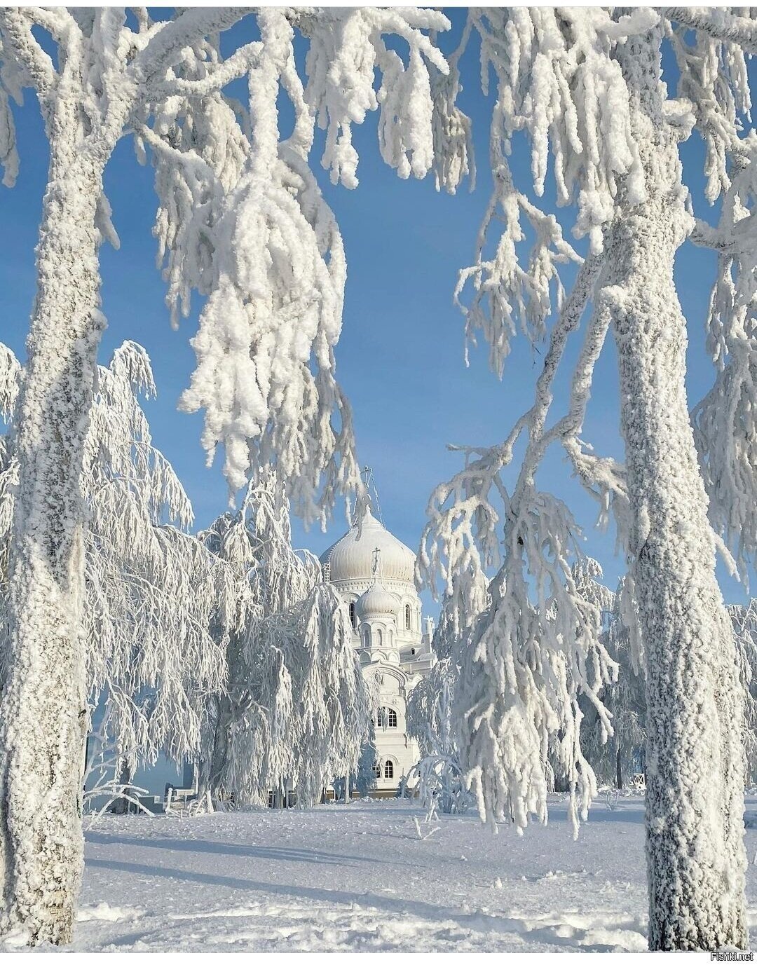 Солянка