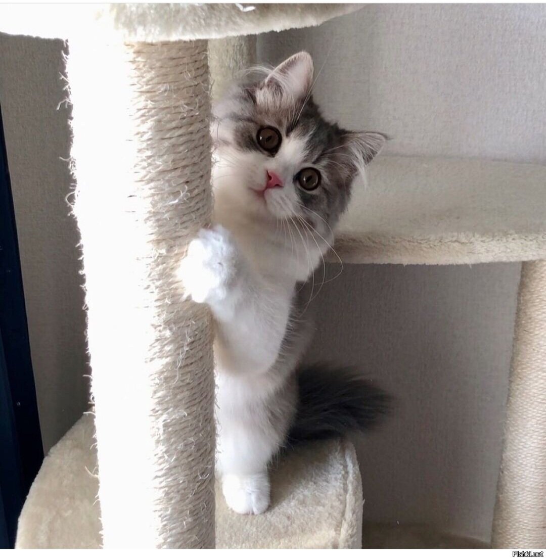 Доброе утро