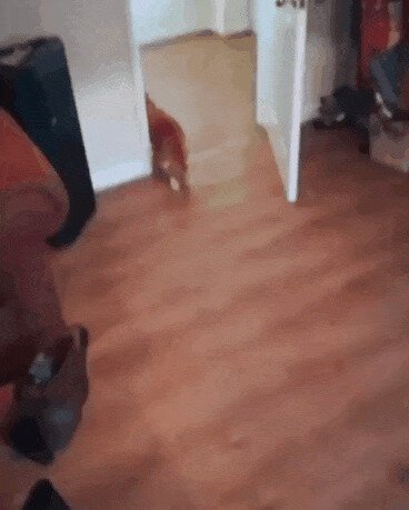 - Я тебе вкусняшку к вину принес