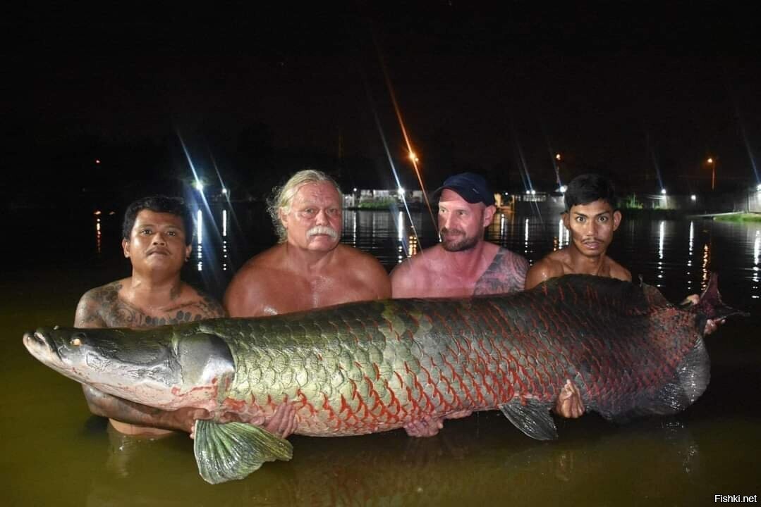 Хороший трофей