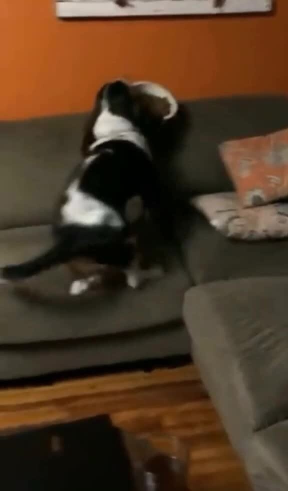 Когда любишь есть у телевизора