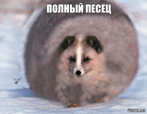 Сегодня наконец-то досмотрел последнюю девятую (10)