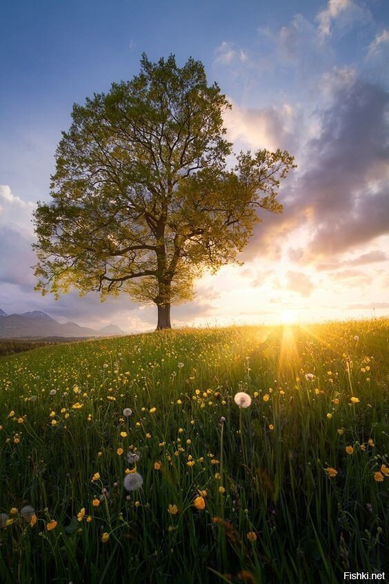 Воспоминание о лете