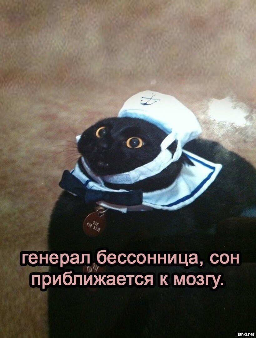 У меня ни один генерал бессонницы не успевает принять решение