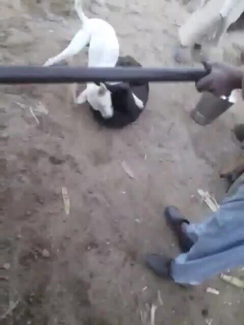 Вал отбора мощности - это не шутка