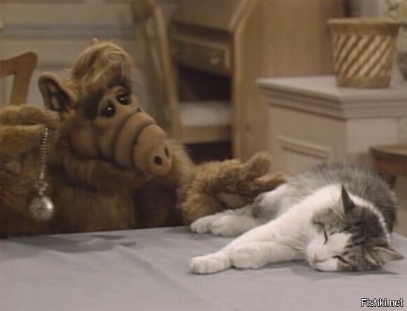 твои веки становятся тяжелыми