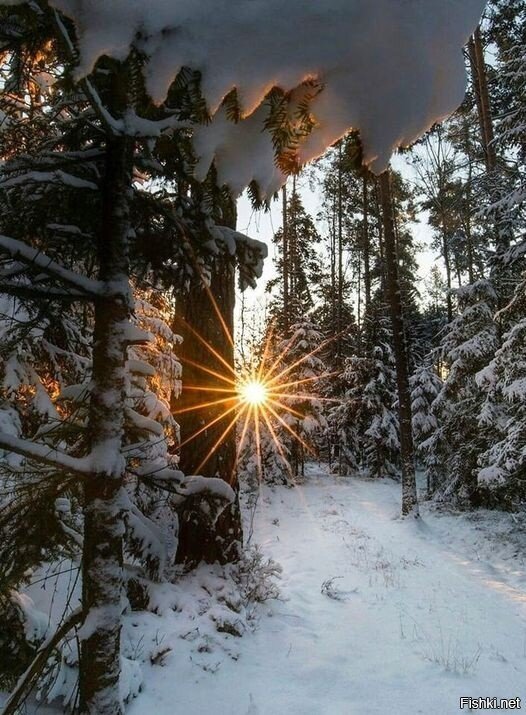 УДАЧНЫЙ КАДР