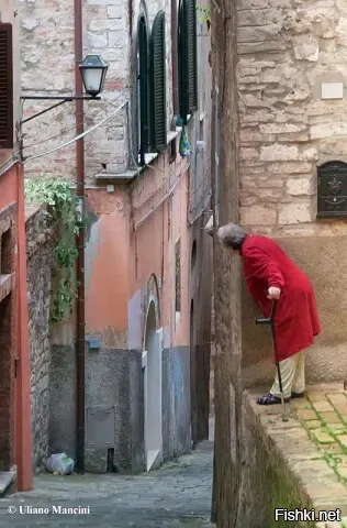 Наблюдение за людьми так успокаивает нервы