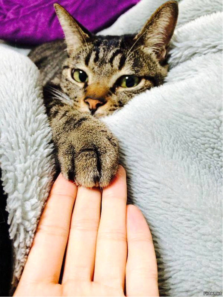 Доброе утро