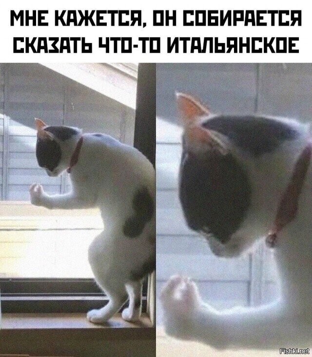 Солянка