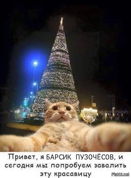 вызов принят