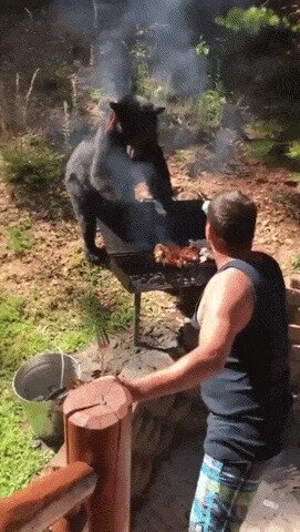 - Да кто так жарит