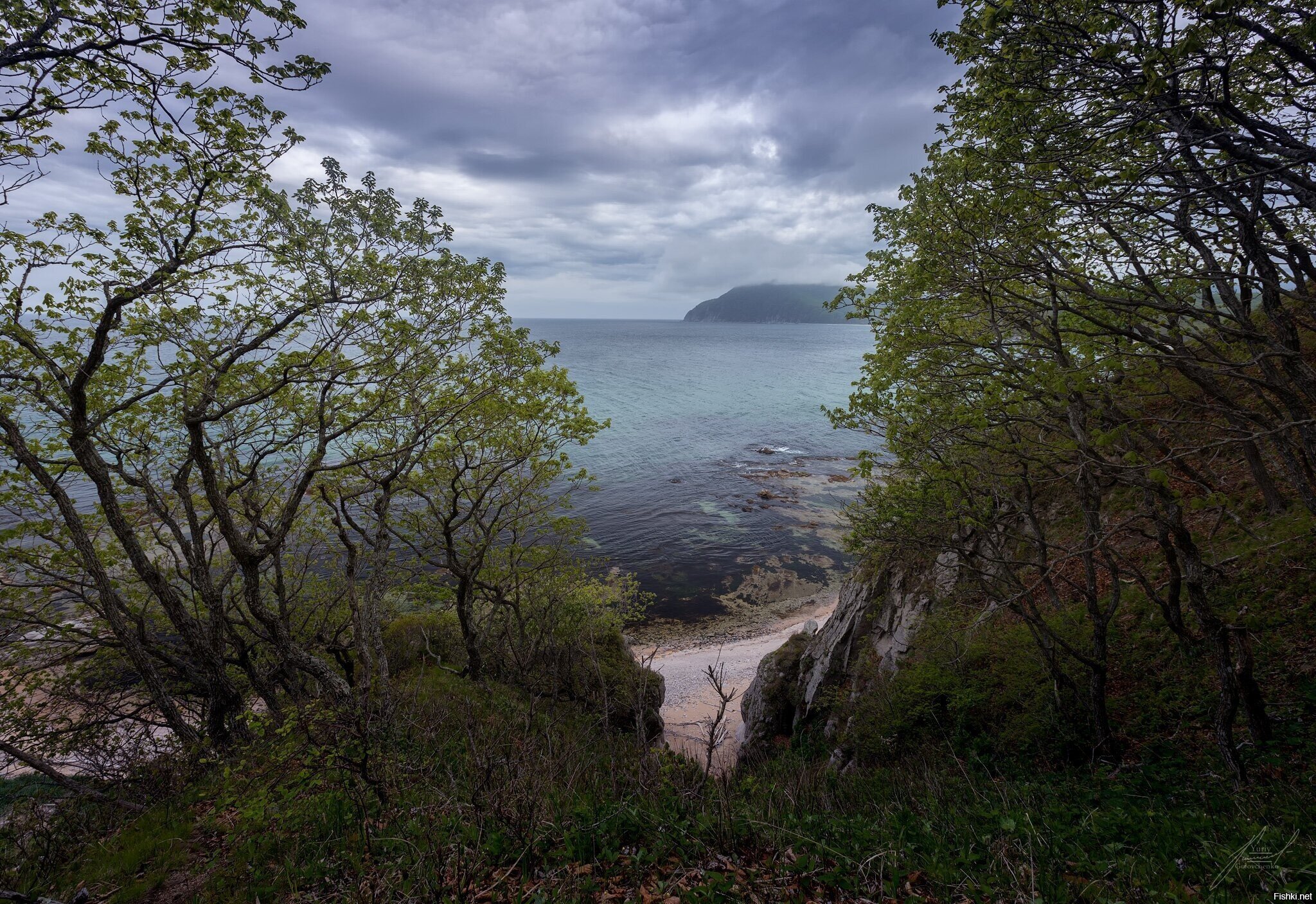 Японское море