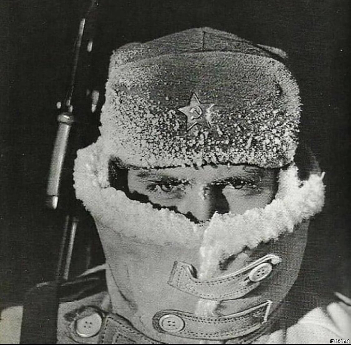 Стой кто идёт