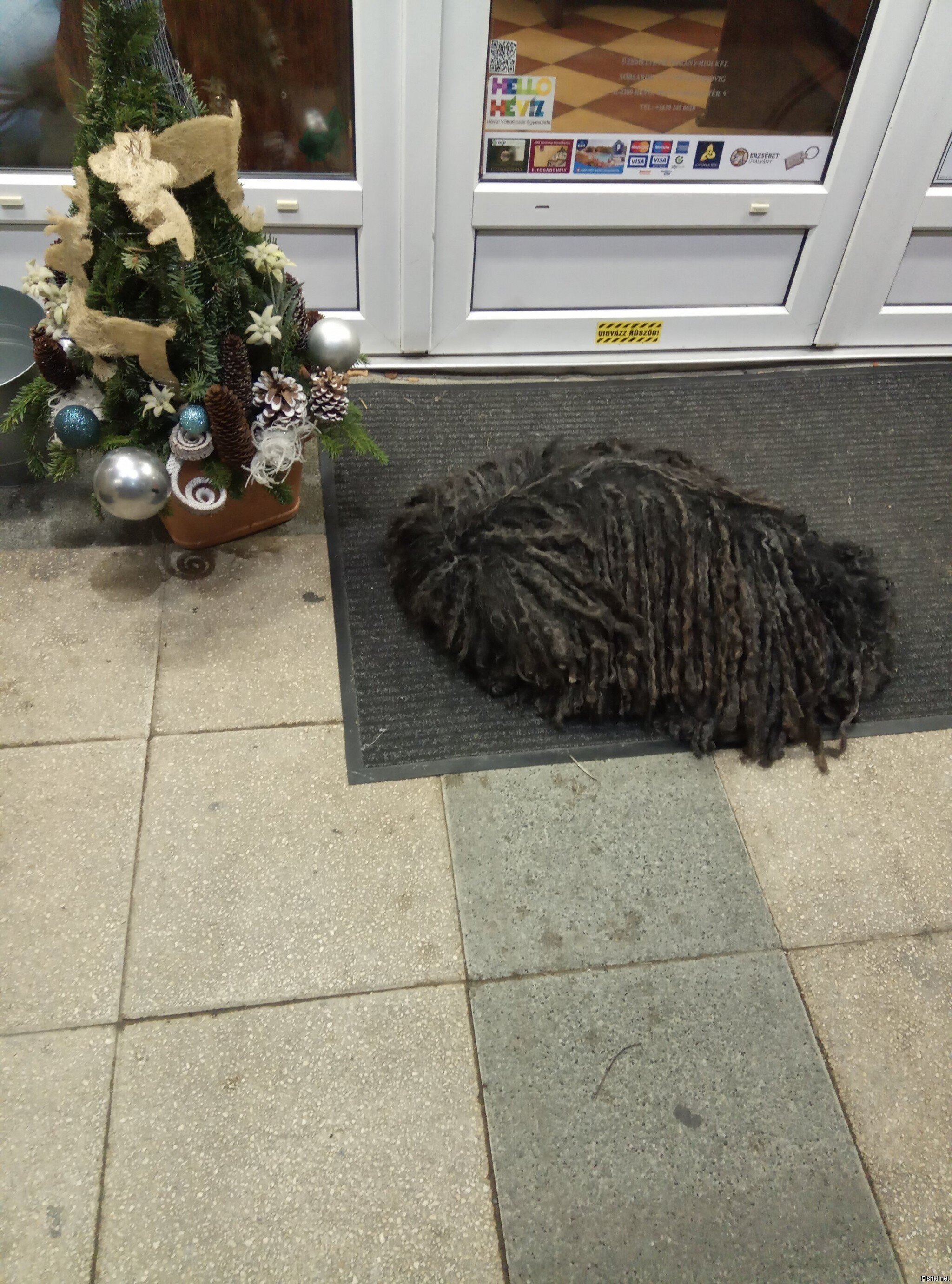 В очередной раз прячемся от рождественского безумия в Венгрии