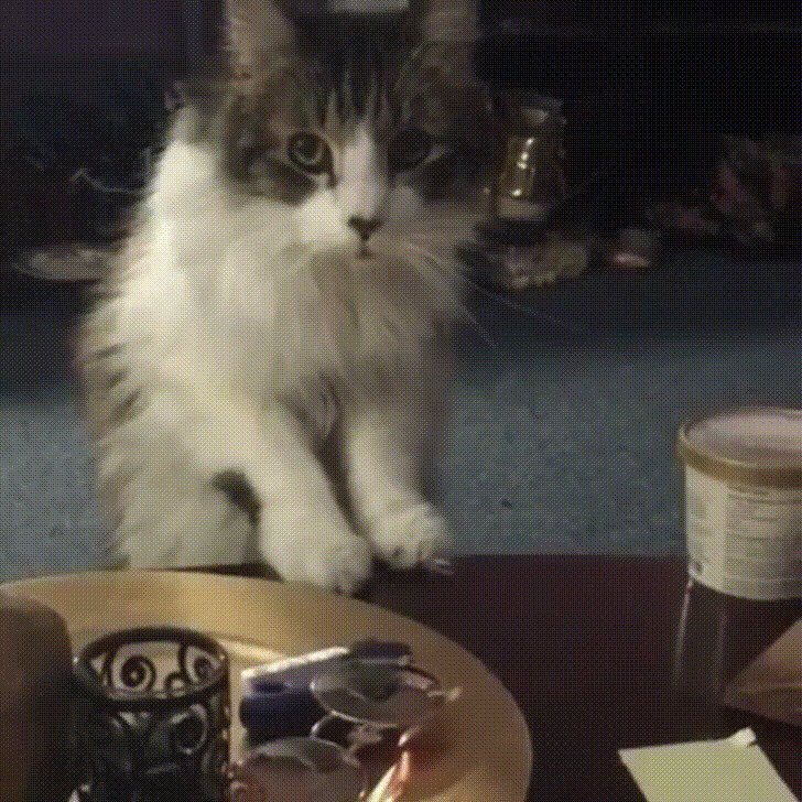 - Извините, но это должно упасть