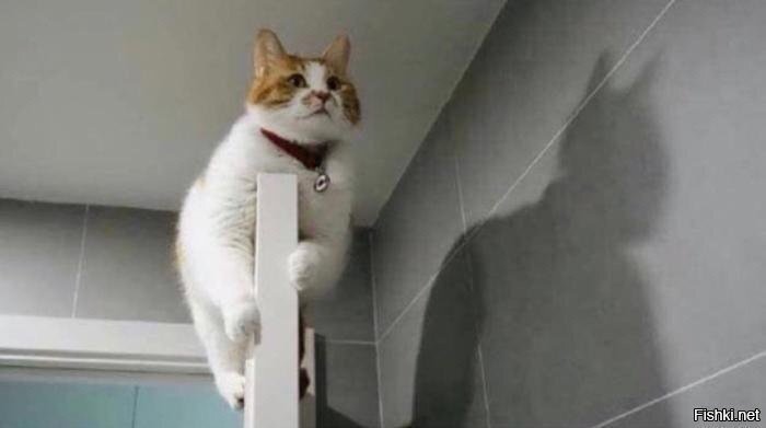 В доме новый герой