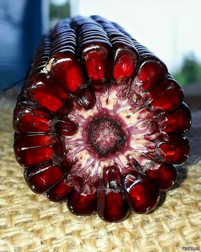 Кукурнат или гранатуза