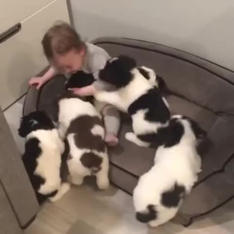 Первые друзья