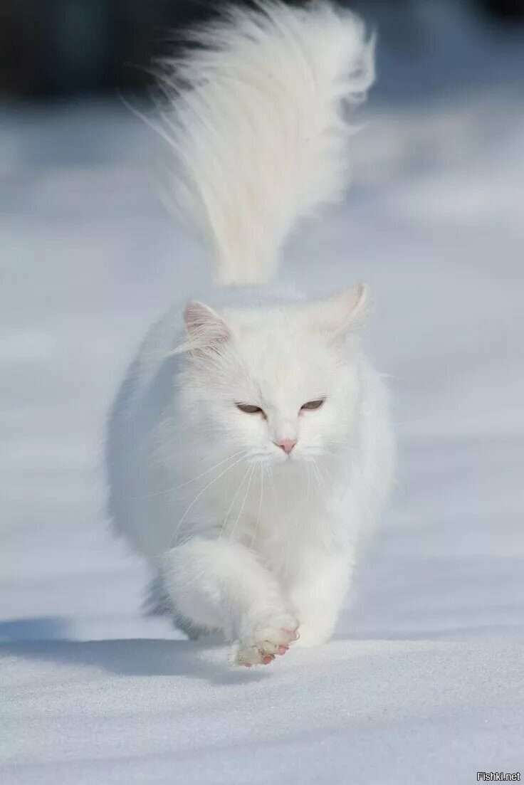 Доброе утро