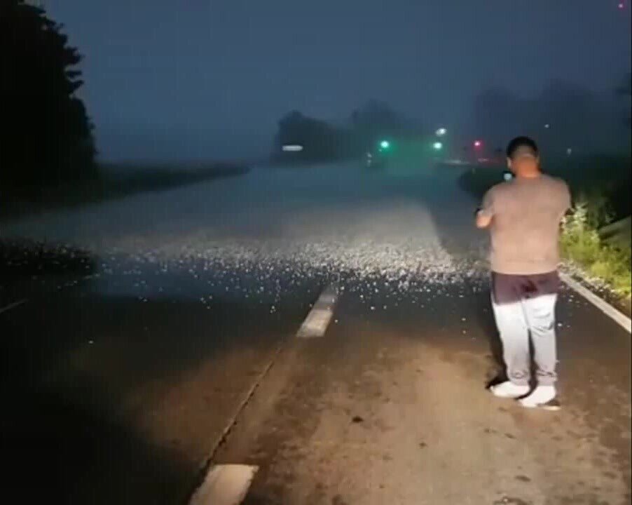 Линия града