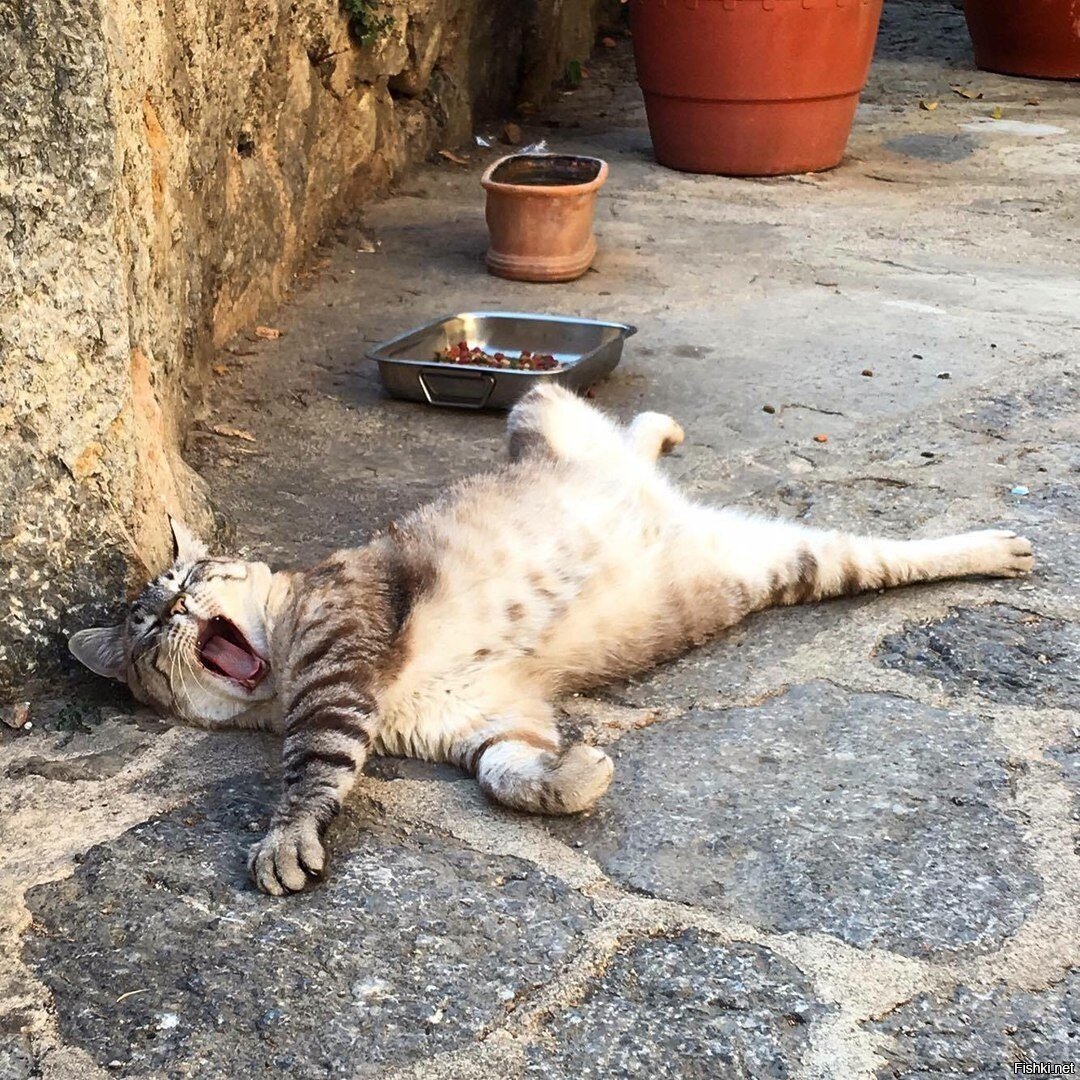 Настроение