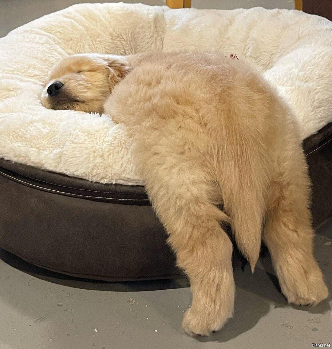 Доброе утро