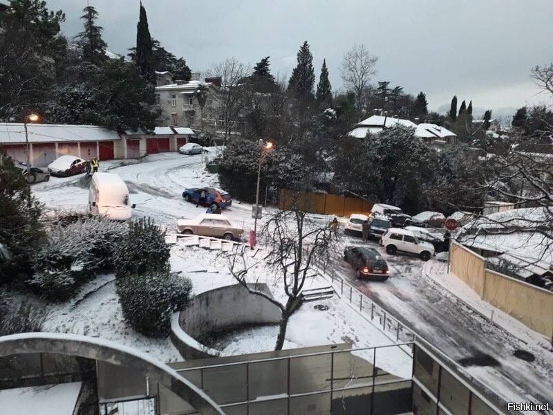 В Адлере шизики на летней резине торчат из каждого кювета