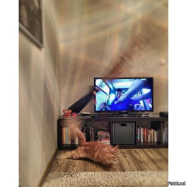 Жизнь - мгновение