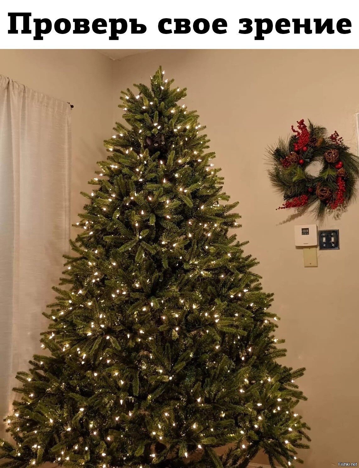 ...
а он есть.