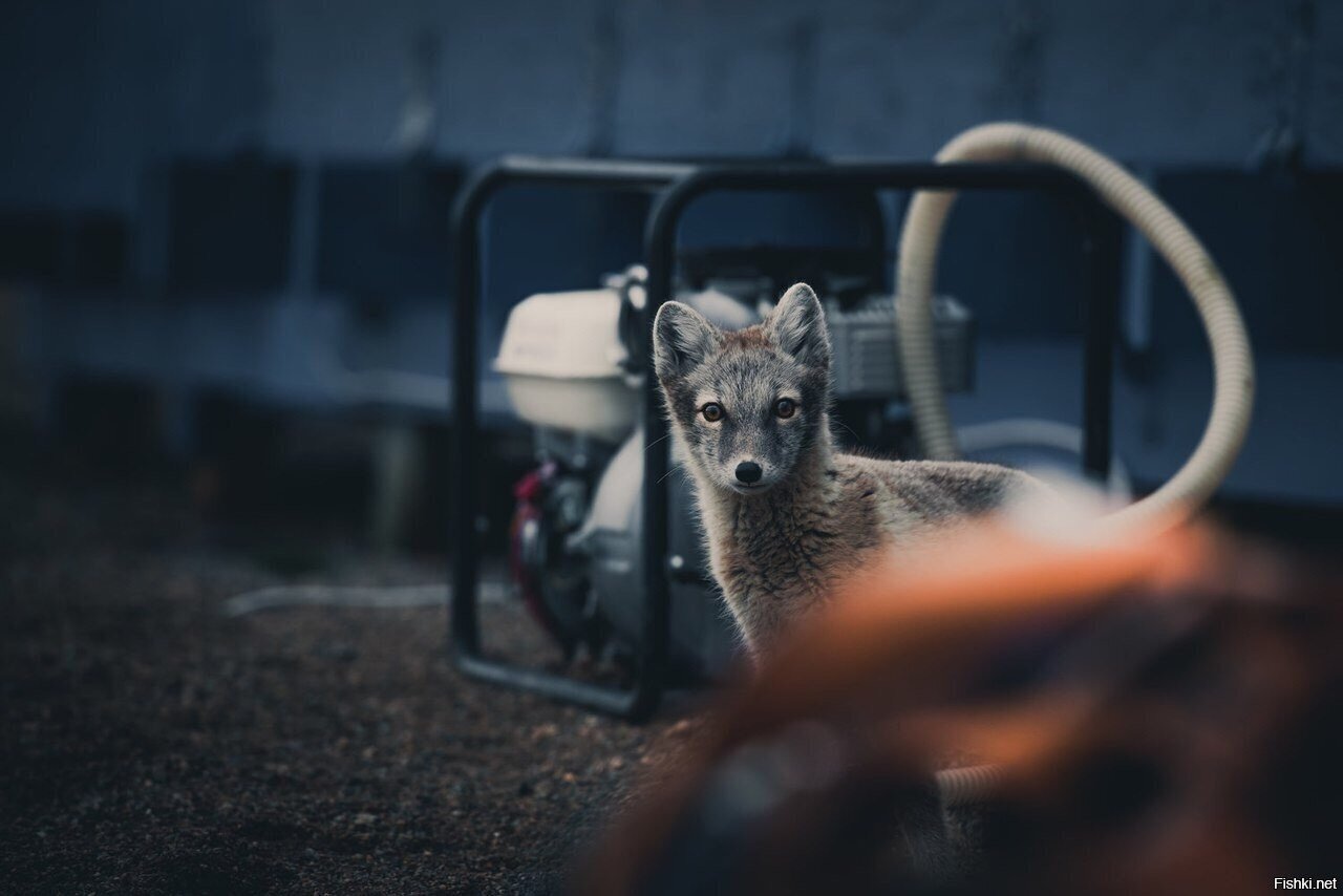 - Я пришел к вашему генератору