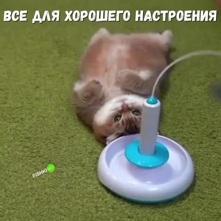 Все для хорошего настроения