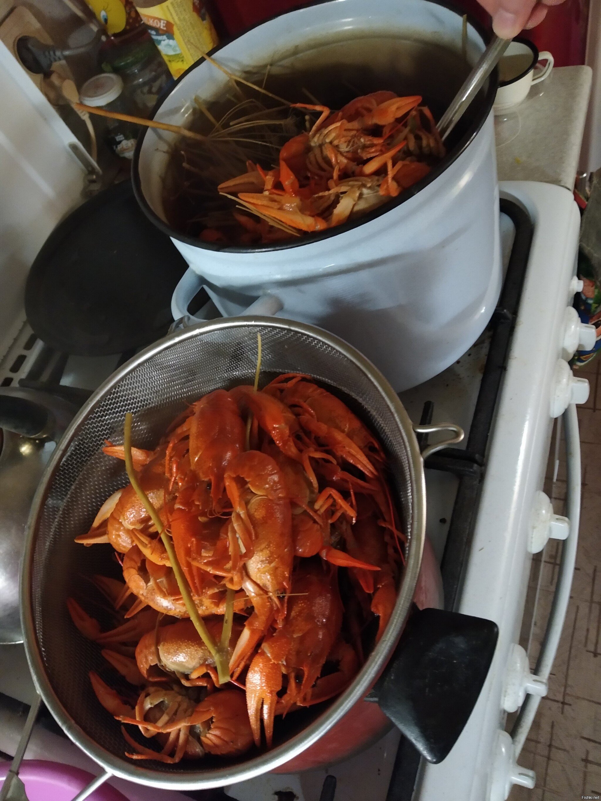 купили пару кг раков