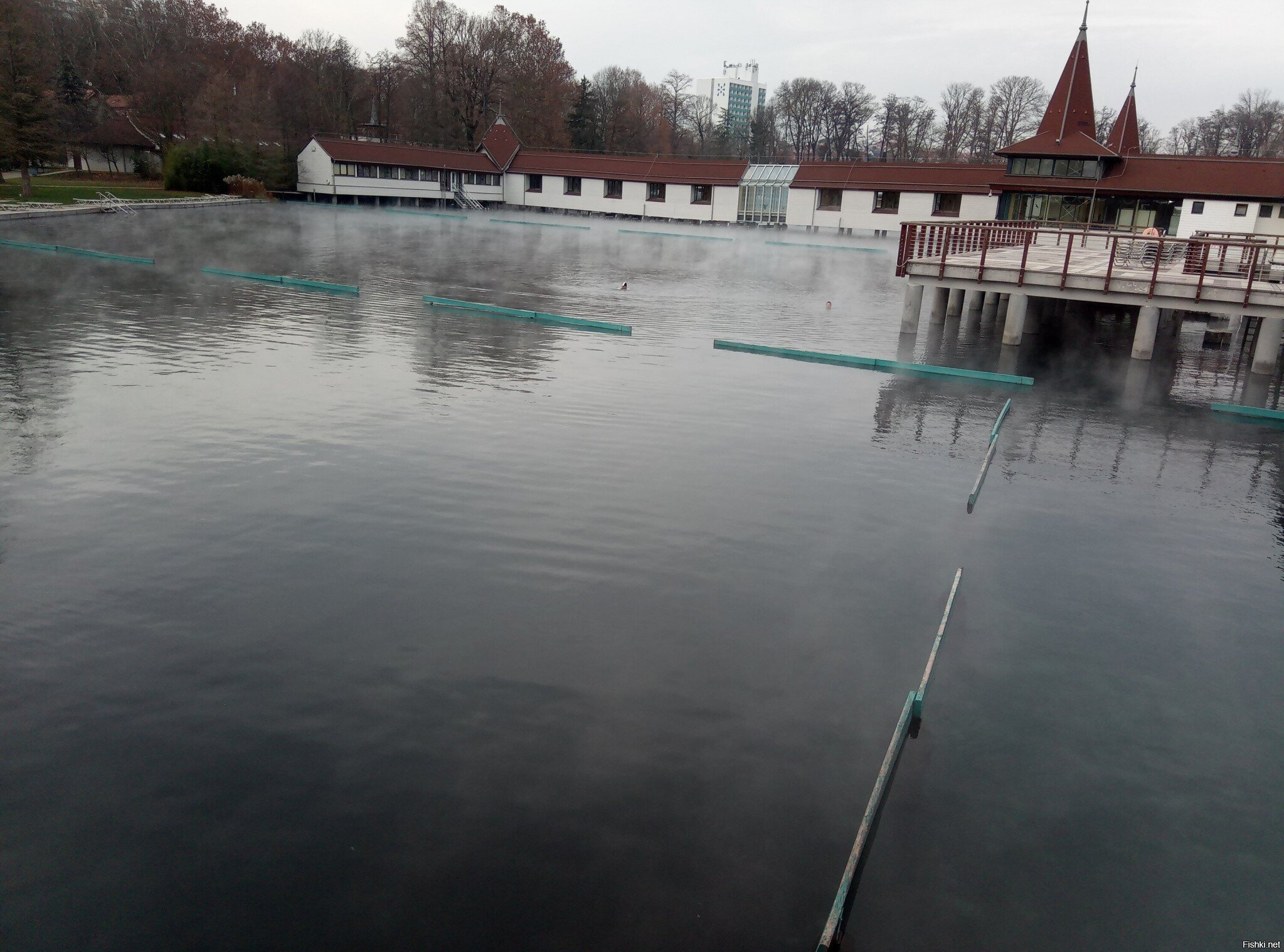 Озеро Хевиз (Heviz)