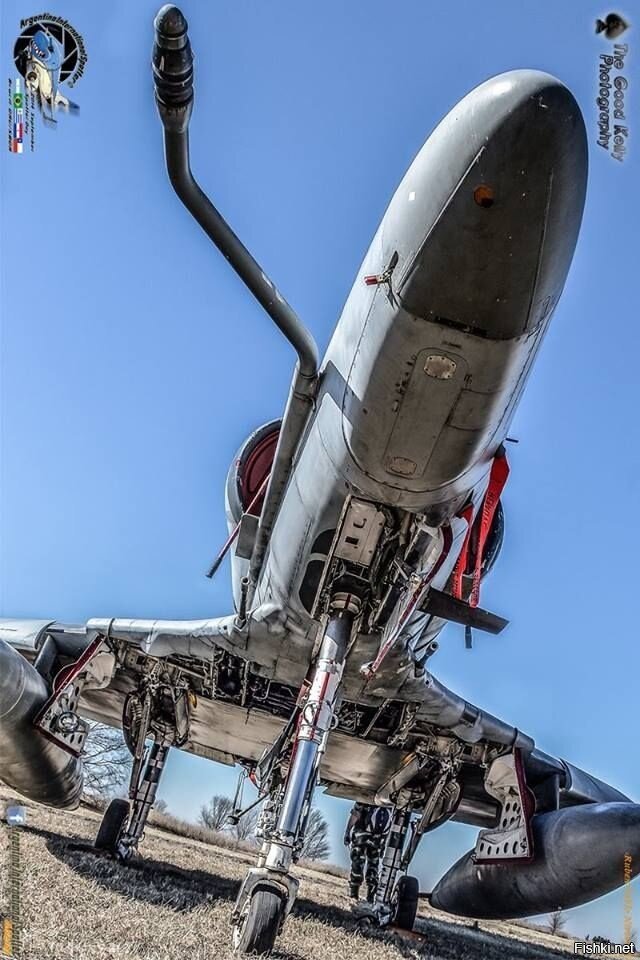 старичок А4 SkyHawk на пикнике