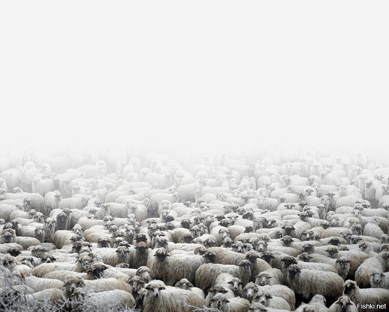 Когда вечером быстро заснул