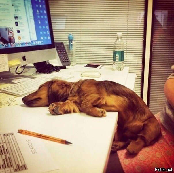 И когда эта работа кончится