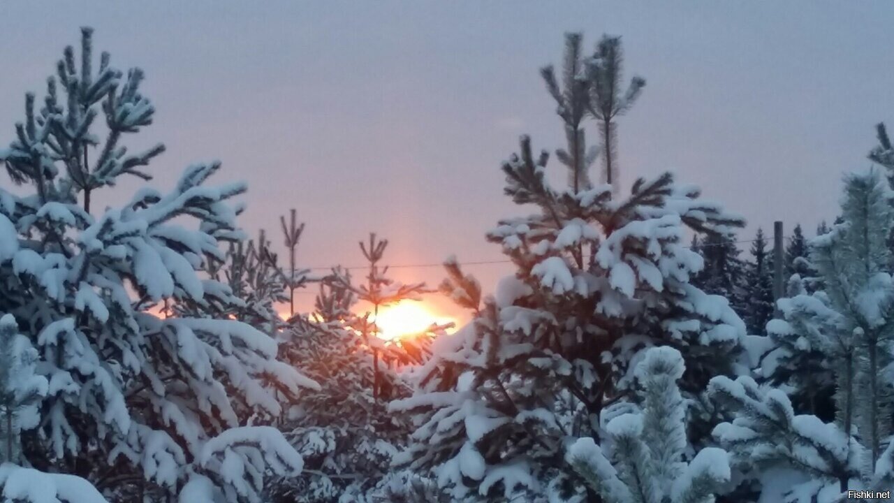 Доброе утро