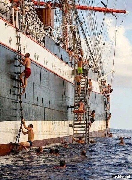 И крик с мостика -Акулы